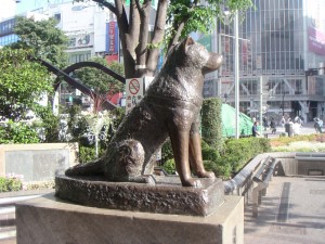 Hachiko-A-Dog-s-Story-hachiko-a-dogs-story-14893697-2048-1536