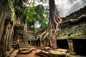 Ta-Prohm-temple-Cambodia
